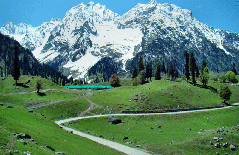 05 Nights / 06 Days Paradise Kashmir Tour